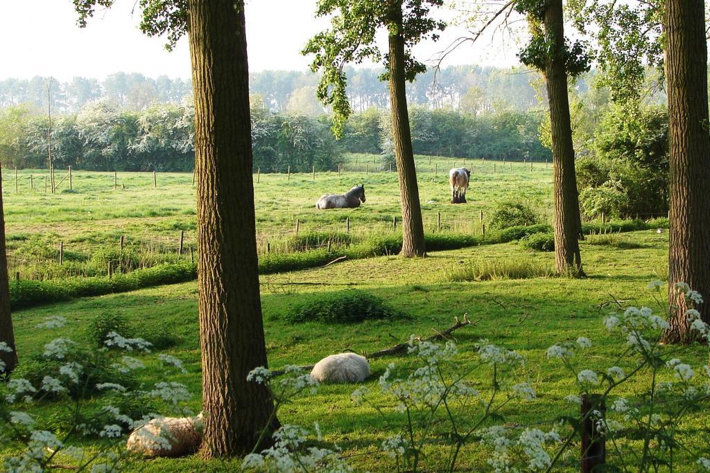 Do'S Chalets Baarland Luaran gambar